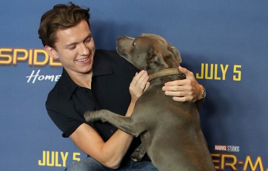 Top celebrity dog lovers