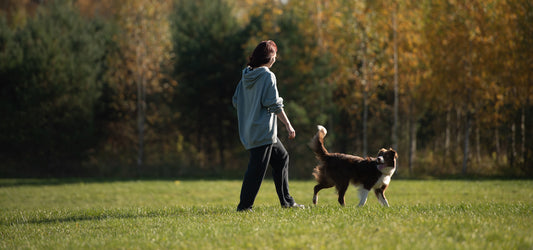 Dog body language