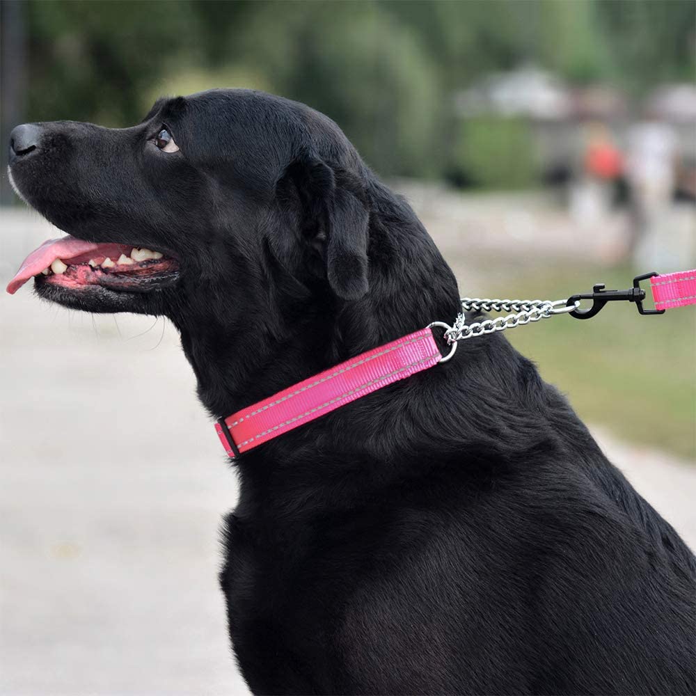 Reflective Martingale Dog Collar Chain