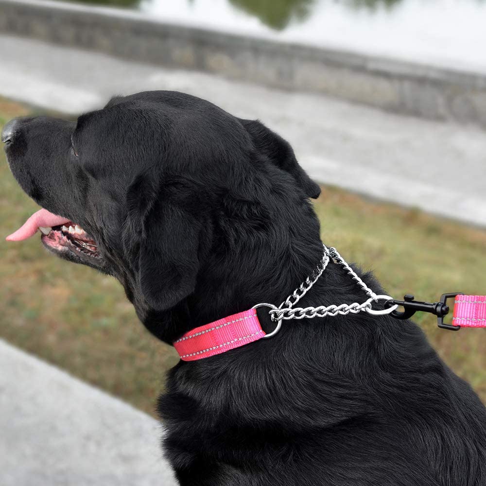 Reflective Martingale Dog Collar Chain