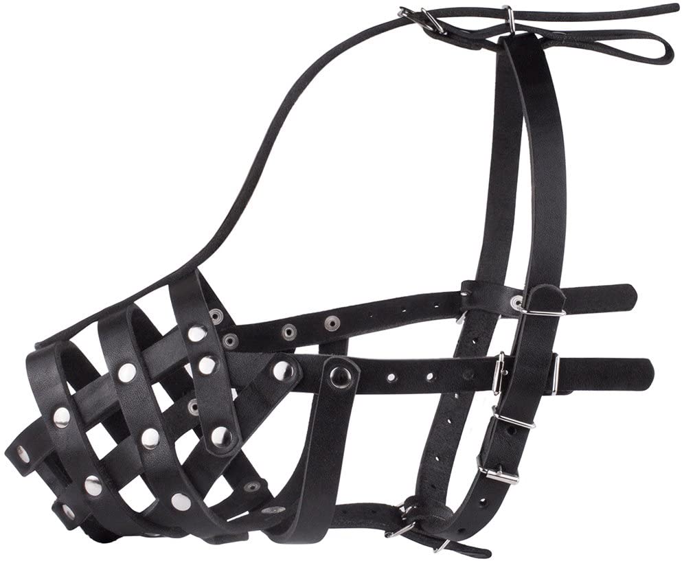 german shepherd dalmation Dog Muzzle-dalmatian doberman Dog Muzzle-doberman dalmatian Dog Muzzle-german shepherd and dalmatian Dog Muzzle