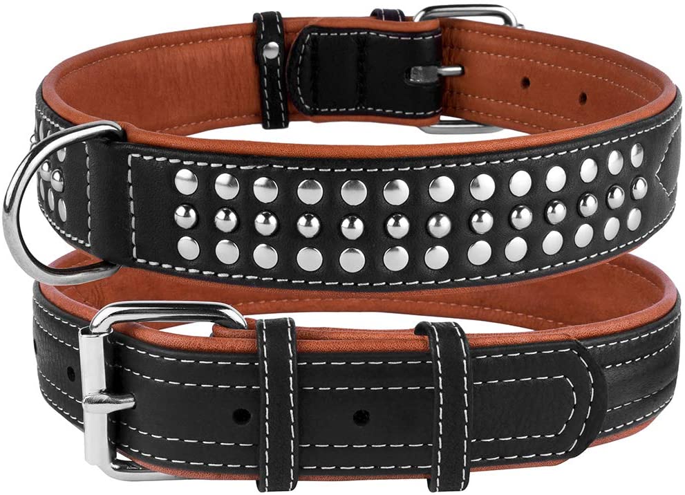 leather padded dog collar-padded leather dog collar-soft touch collars luxury real leather padded dog collar-padded leather dog collar with nameplate-logical leather padded dog collar