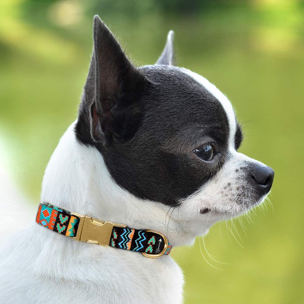 Nylon Dog Collar Buckle Tribal Pattern Metal Buckle