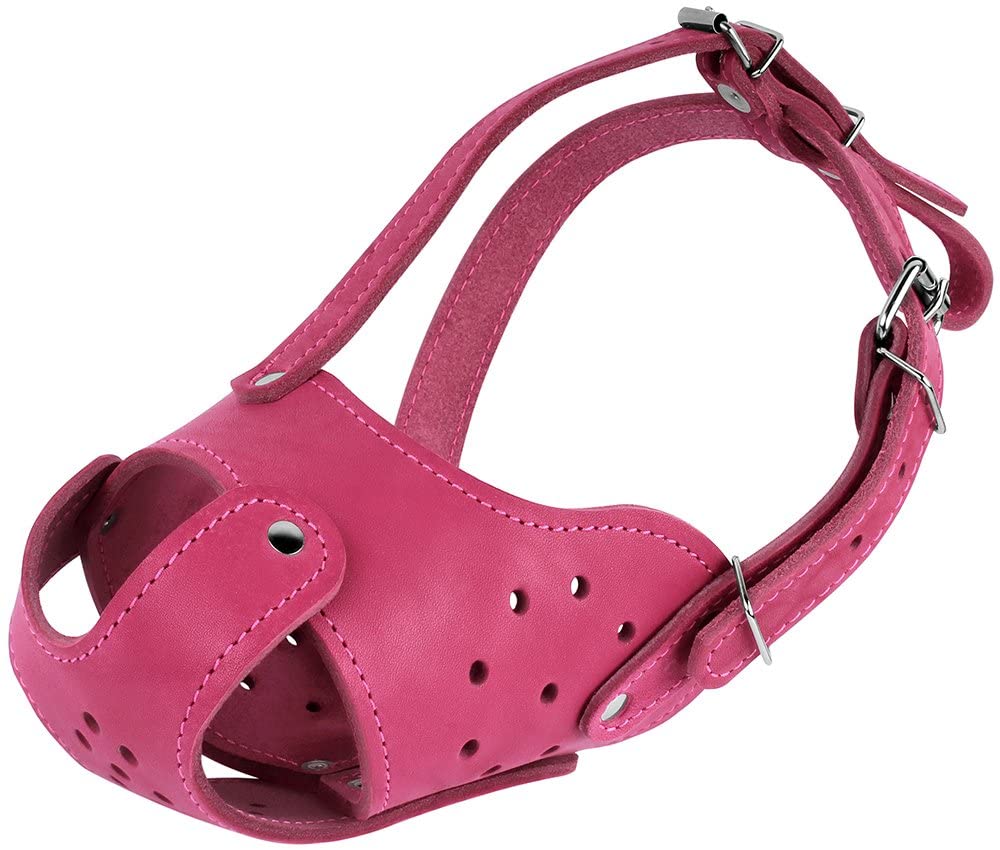 Muselière en cuir pour chien Pit Bull Staffordshire Terrier Panier sécurisé AmStaff