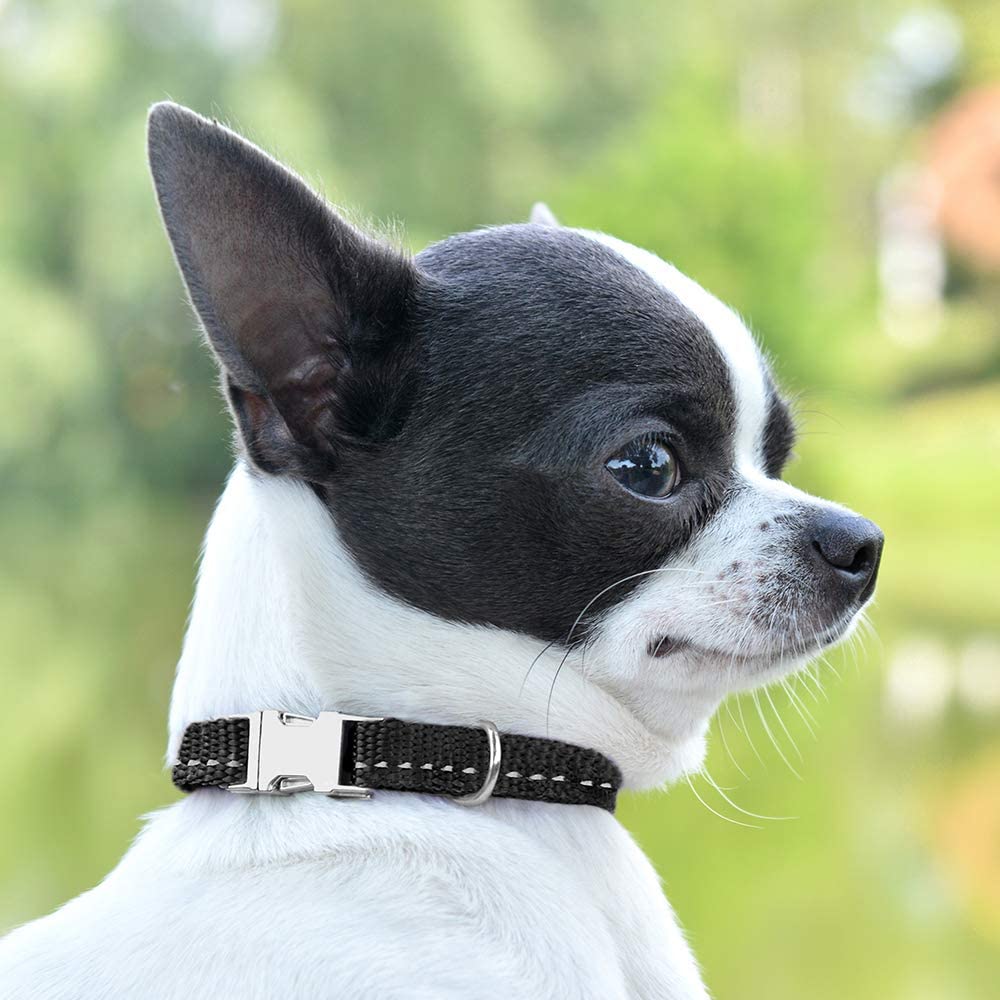 nylon dog collar-nylon personalized dog collar-personalized nylon dog collar-nylon dog collar with buckle-nylon choke dog collar-rolled nylon dog collar