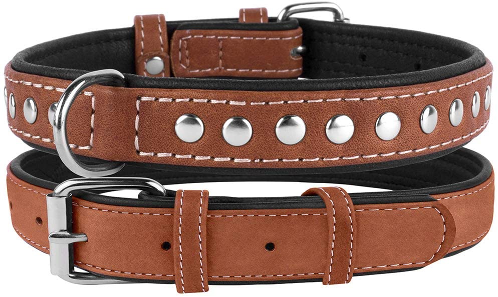 leather padded dog collar-padded leather dog collar-soft touch collars luxury real leather padded dog collar-padded leather dog collar with nameplate-logical leather padded dog collar