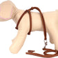 Rolled Leather Dog Harness Small Puppy Step-in Leash Set for Walking