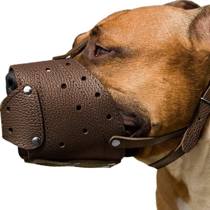 Muselière en cuir pour berger allemand, Staffordshire Terrier, Pitbull, races moyennes et grandes
