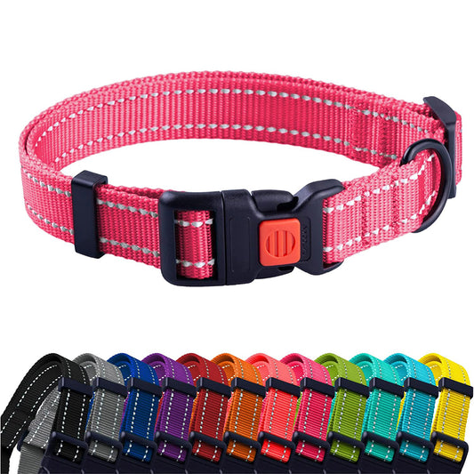 nylon dog collar-nylon personalized dog collar-personalized nylon dog collar-nylon dog collar with buckle-nylon choke dog collar-rolled nylon dog collar