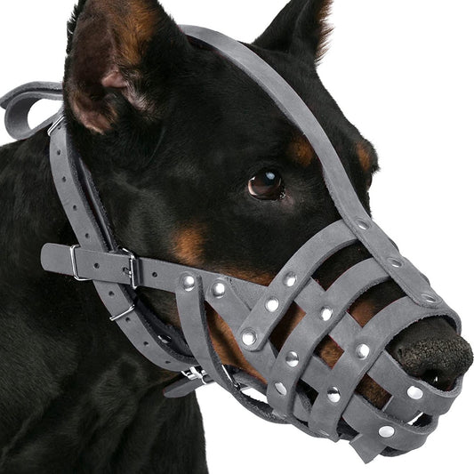 german shepherd dalmation Dog Muzzle-dalmatian doberman Dog Muzzle-doberman dalmatian Dog Muzzle-german shepherd and dalmatian Dog Muzzle