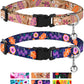 cute cat collars-cat collars cute-cute cat collars with bell-why do cat collars have bellsdesigner cat collars-