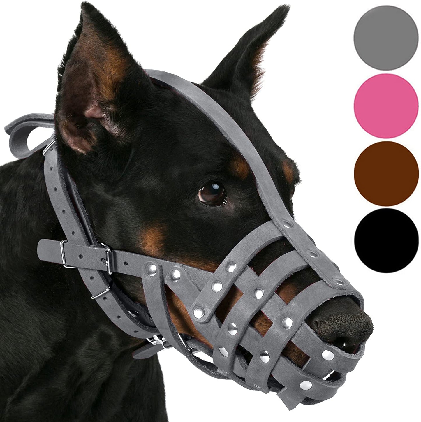 german shepherd dalmation Dog Muzzle-dalmatian doberman Dog Muzzle-doberman dalmatian Dog Muzzle-german shepherd and dalmatian Dog Muzzle