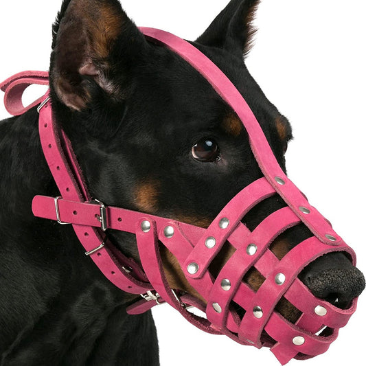 german shepherd dalmation Dog Muzzle-dalmatian doberman Dog Muzzle-doberman dalmatian Dog Muzzle-german shepherd and dalmatian Dog Muzzle