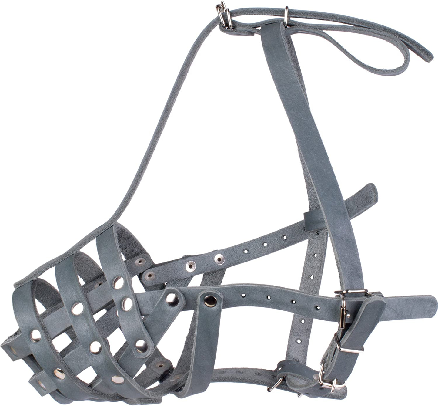 german shepherd dalmation Dog Muzzle-dalmatian doberman Dog Muzzle-doberman dalmatian Dog Muzzle-german shepherd and dalmatian Dog Muzzle