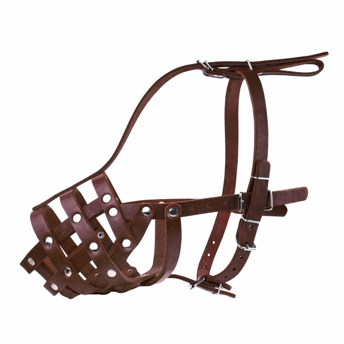 Panier en cuir véritable sécurisé pour chien de berger allemand
