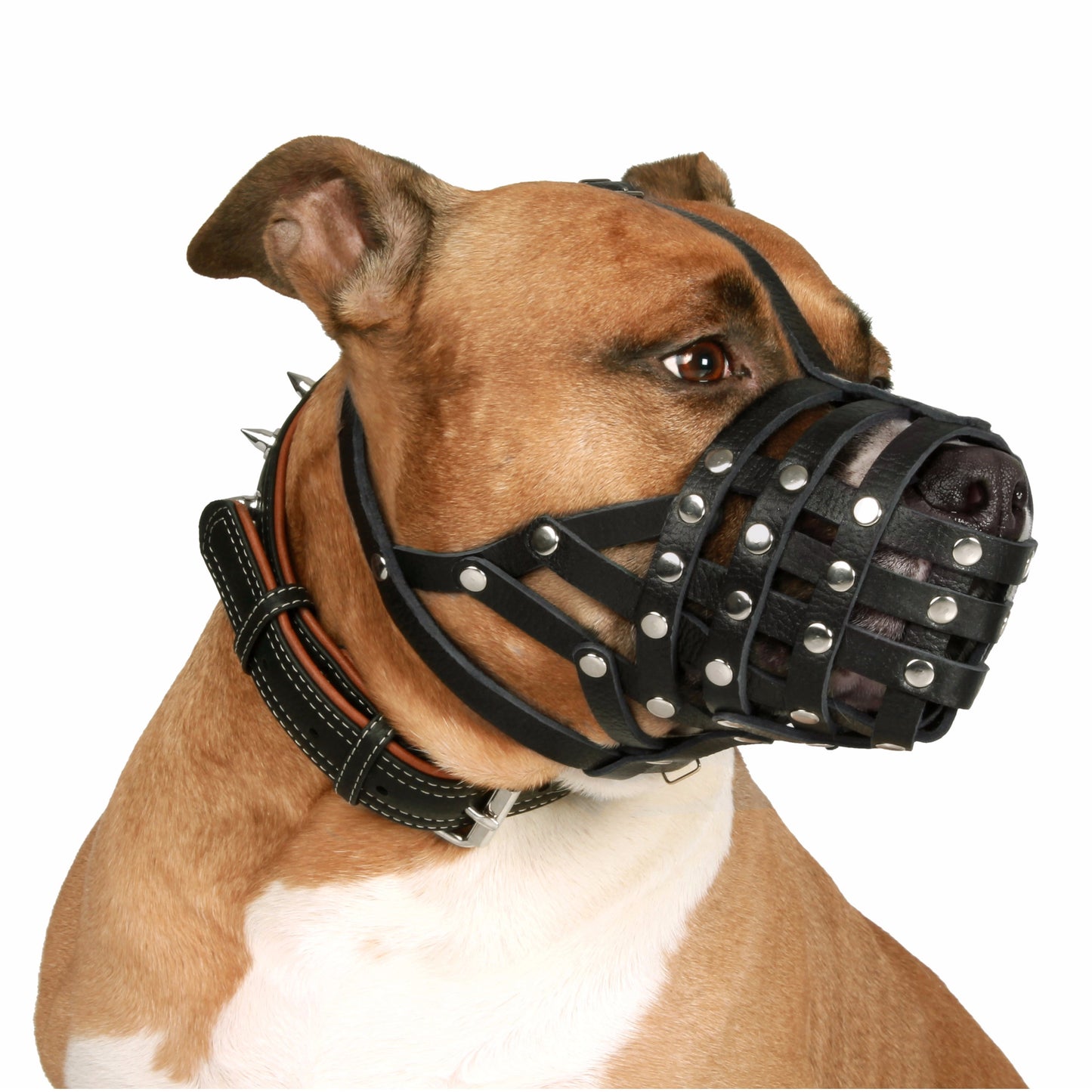 dog muzzle for pitbull-best dog muzzle for pitbull-dog muzzle for biting pitbull-muzzle for pitbull-best muzzle for pitbull-dog muzzle for pitbull-basket muzzle for pitbull