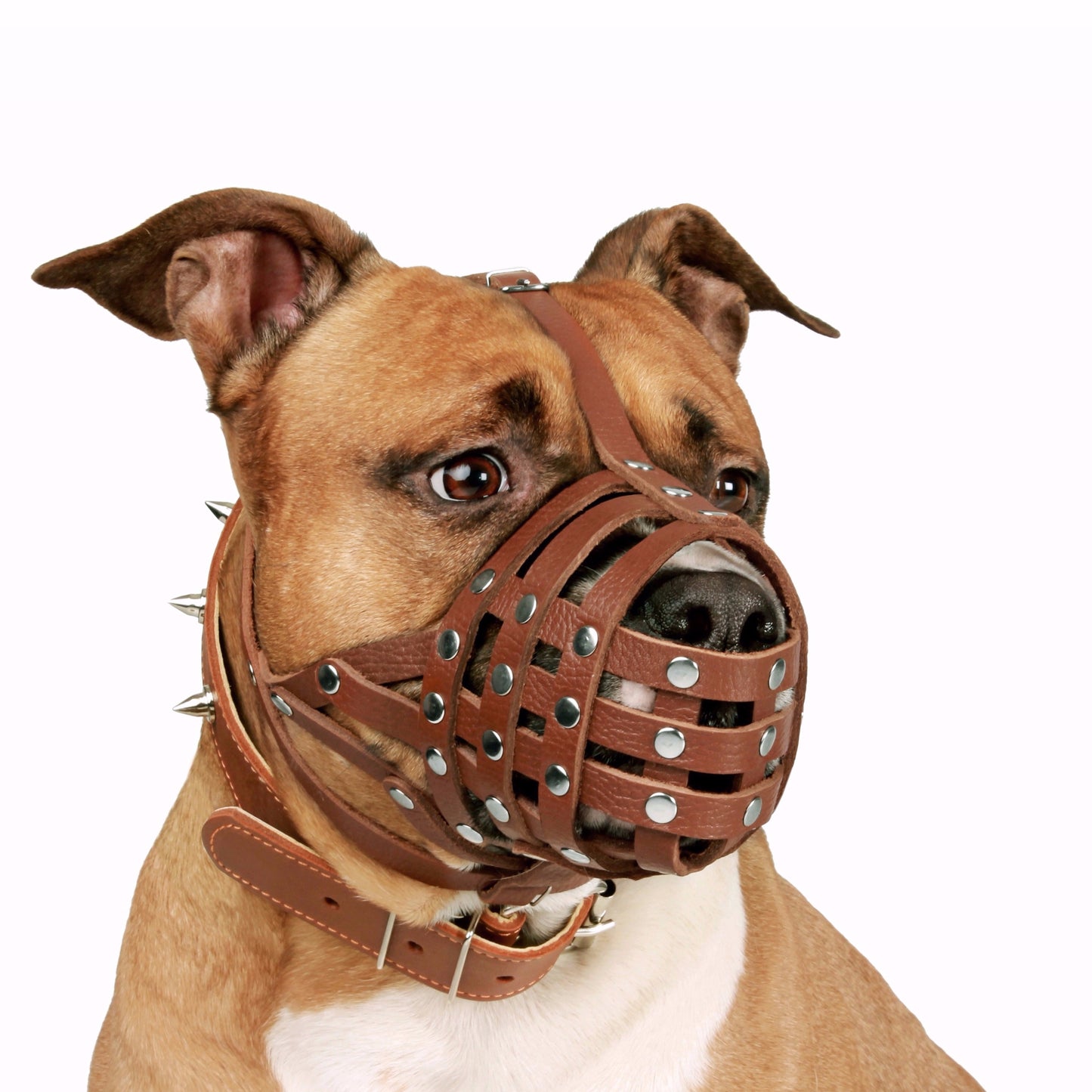 dog muzzle for pitbull-best dog muzzle for pitbull-dog muzzle for biting pitbull-muzzle for pitbull-best muzzle for pitbull-dog muzzle for pitbull-basket muzzle for pitbull