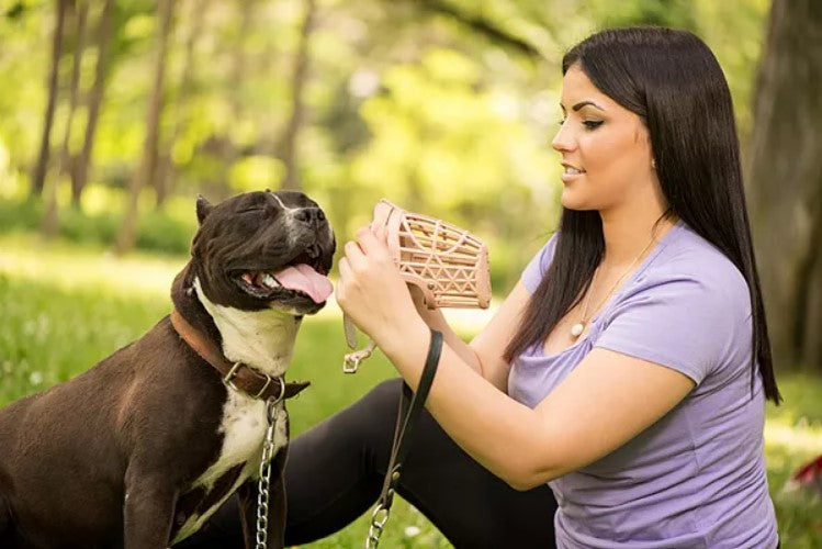 How to use a dog muzzle for barking