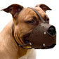 CollarDirect Leather Basket Dog Muzzle for German Shepherd Staffordshire Terrier Pitbull Medium Large Breeds Training, Anti-Barking, Biting, Chewing (Brown)
