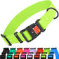 CollarDirect Waterproof Dog Collar - Silicone, Plastic Collar, Odor-Resistant, Easy to Clean, for Large, Medium, Small Dogs - Adjustable Collar with Breakaway Buckle (Neck Fit 14"-18", Lime Green)