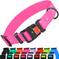 CollarDirect Waterproof Dog Collar - Silicone, Plastic Collar, Odor-Resistant, Easy to Clean, for Large, Medium, Small Dogs - Adjustable Collar with Breakaway Buckle (Neck Fit 14"-18", Pink)