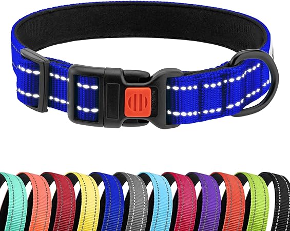 CollarDirect Reflective Dog Collar for a Small, Medium, Large Dog or Puppy with a Quick Release Buckle - Boy and Girl - Nylon Suitable for Swimming (10-13 Inch, Blue)