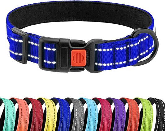 CollarDirect Reflective Dog Collar for a Small, Medium, Large Dog or Puppy with a Quick Release Buckle - Boy and Girl - Nylon Suitable for Swimming (10-13 Inch, Blue)