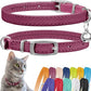 CollarDirect Leather Cat Collar with Bell - Kitten Collar, Small and Big Cat Strap for Boy Cats, Girl Cats with Safety Elastic Strap (Neck Fit 8"-11", Pink)