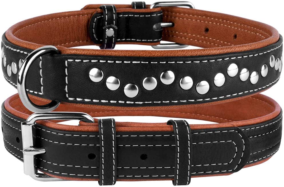 leather padded dog collar-padded leather dog collar-soft touch collars luxury real leather padded dog collar-padded leather dog collar with nameplate-logical leather padded dog collar