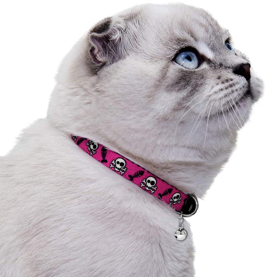 skull cat collar-cute cat collars-cat collars cute-cute cat collars with bell