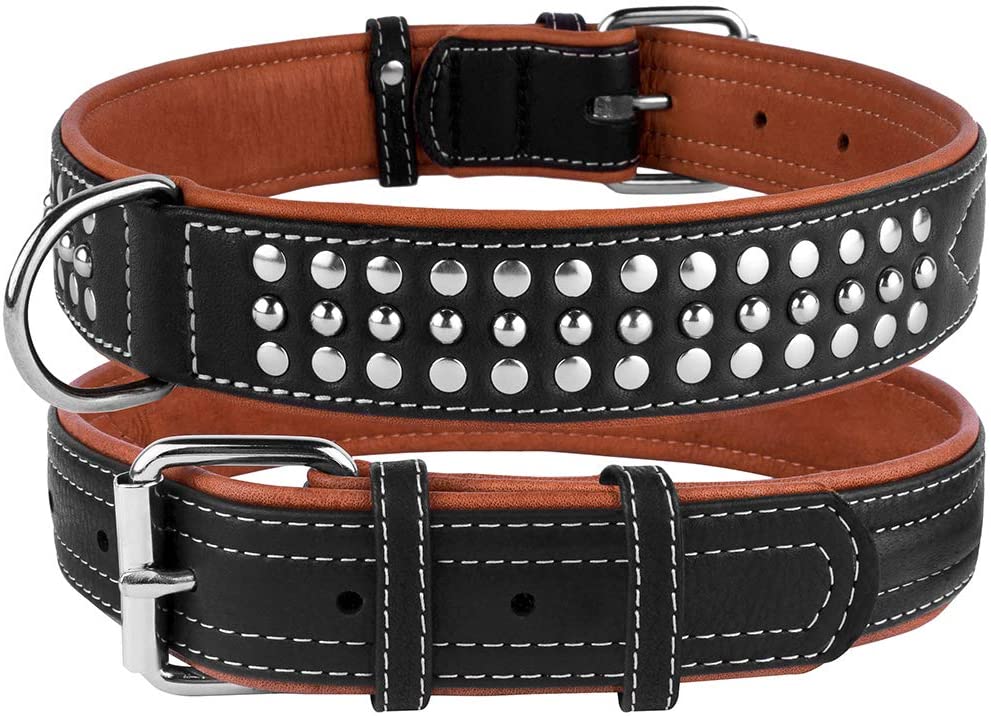 Padded Dog Collar - Genuine Leather - TrendCo