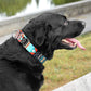 Martingale Dog Collar Nylon Safety Training Tribal Pattern Adjustable Heavy Duty Collars for Dogs Medium Large