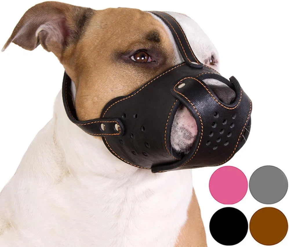 Pit Bull Staffordshire Terrier Leather Dog Muzzle Secure Basket AmStaff