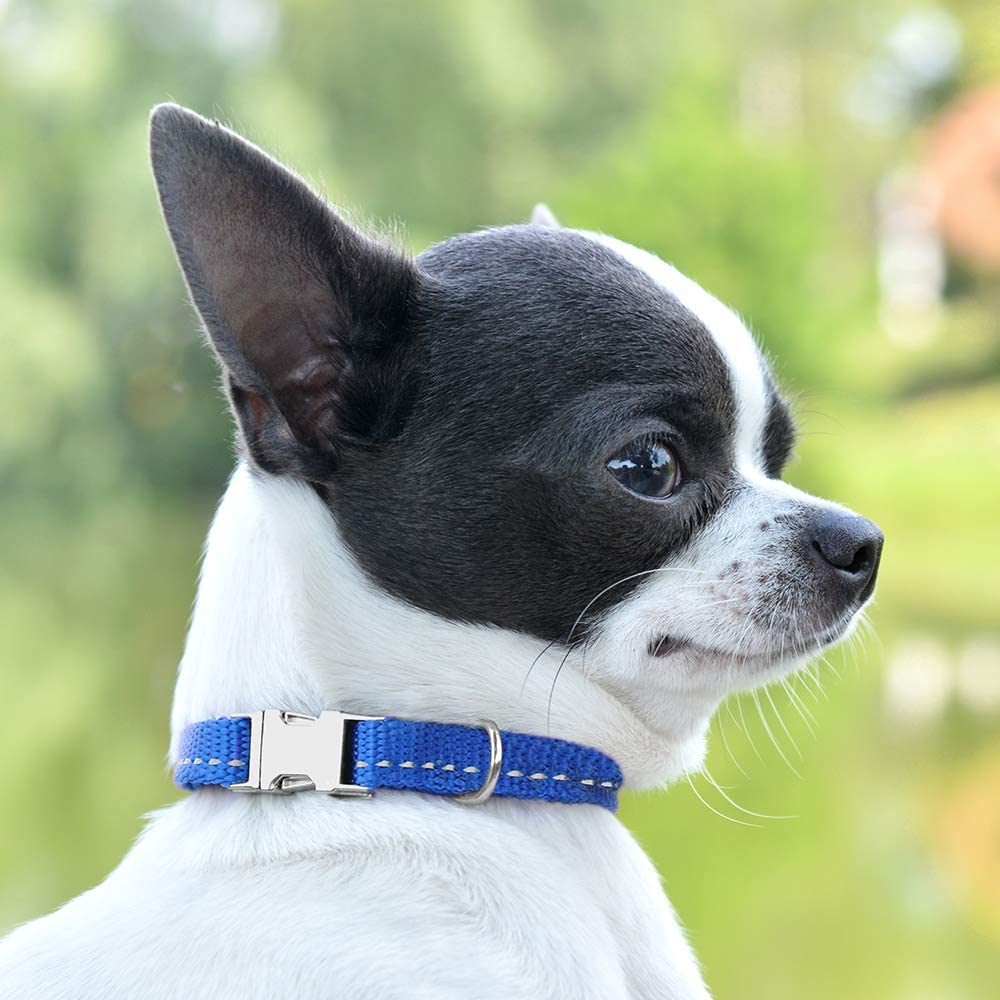 nylon dog collar-nylon personalized dog collar-personalized nylon dog collar-nylon dog collar with buckle-nylon choke dog collar-rolled nylon dog collar