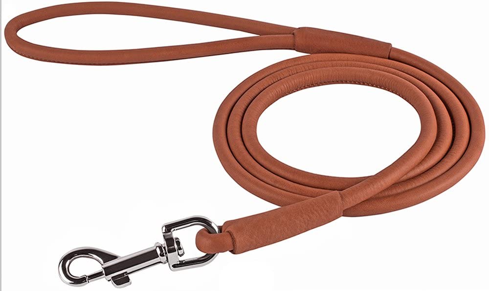 6ft leather dog leash best sale