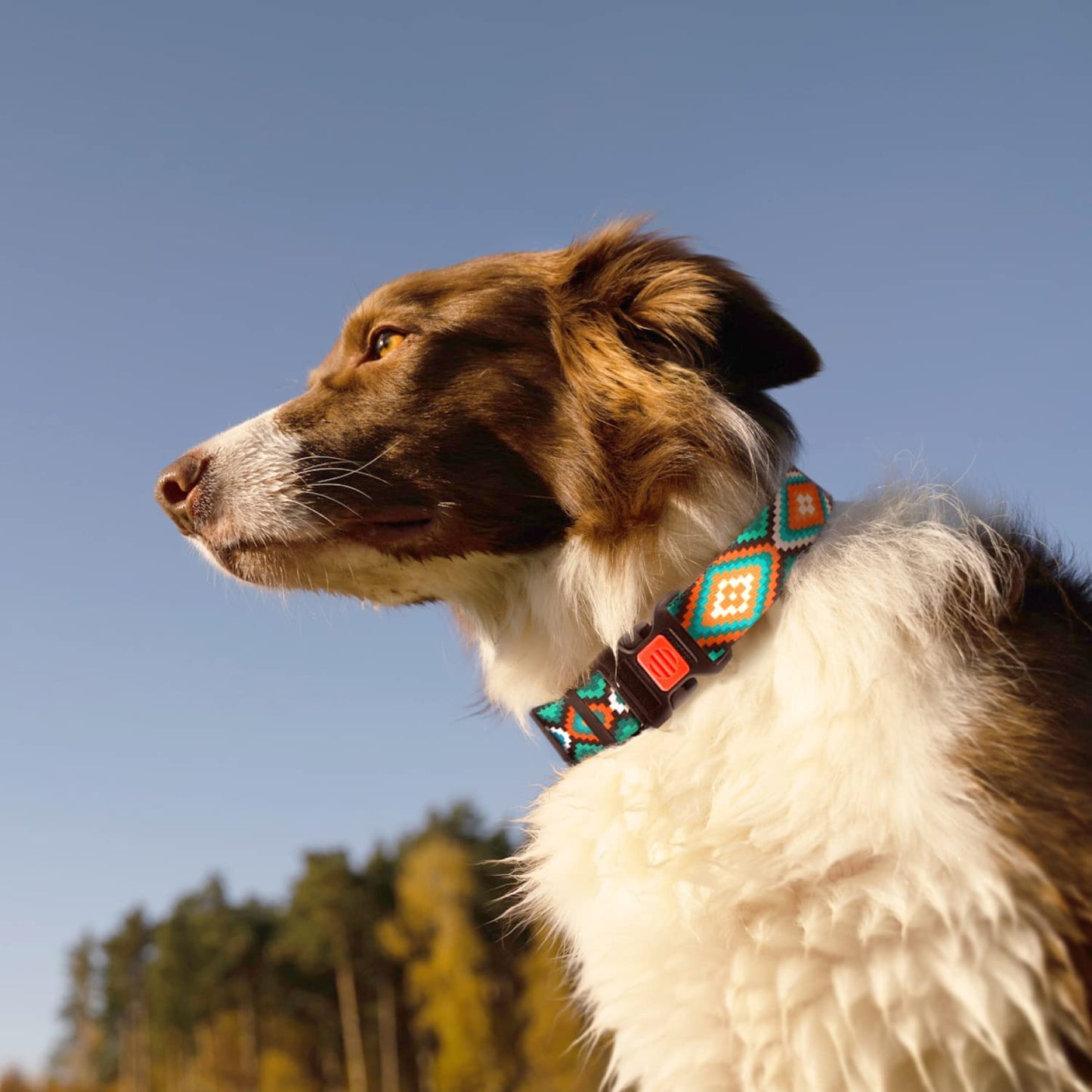 Dog Collar for Small Medium Large Dogs or Puppies, Cute Unique Design with a Quick Release Buckle, Tribal Ethnic Aztec Pattern, Adjustable Soft Nylon