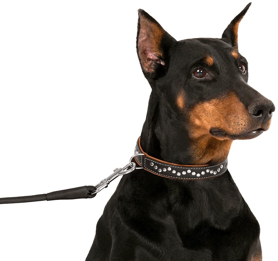 Soft touch collars luxury store real leather padded dog collar