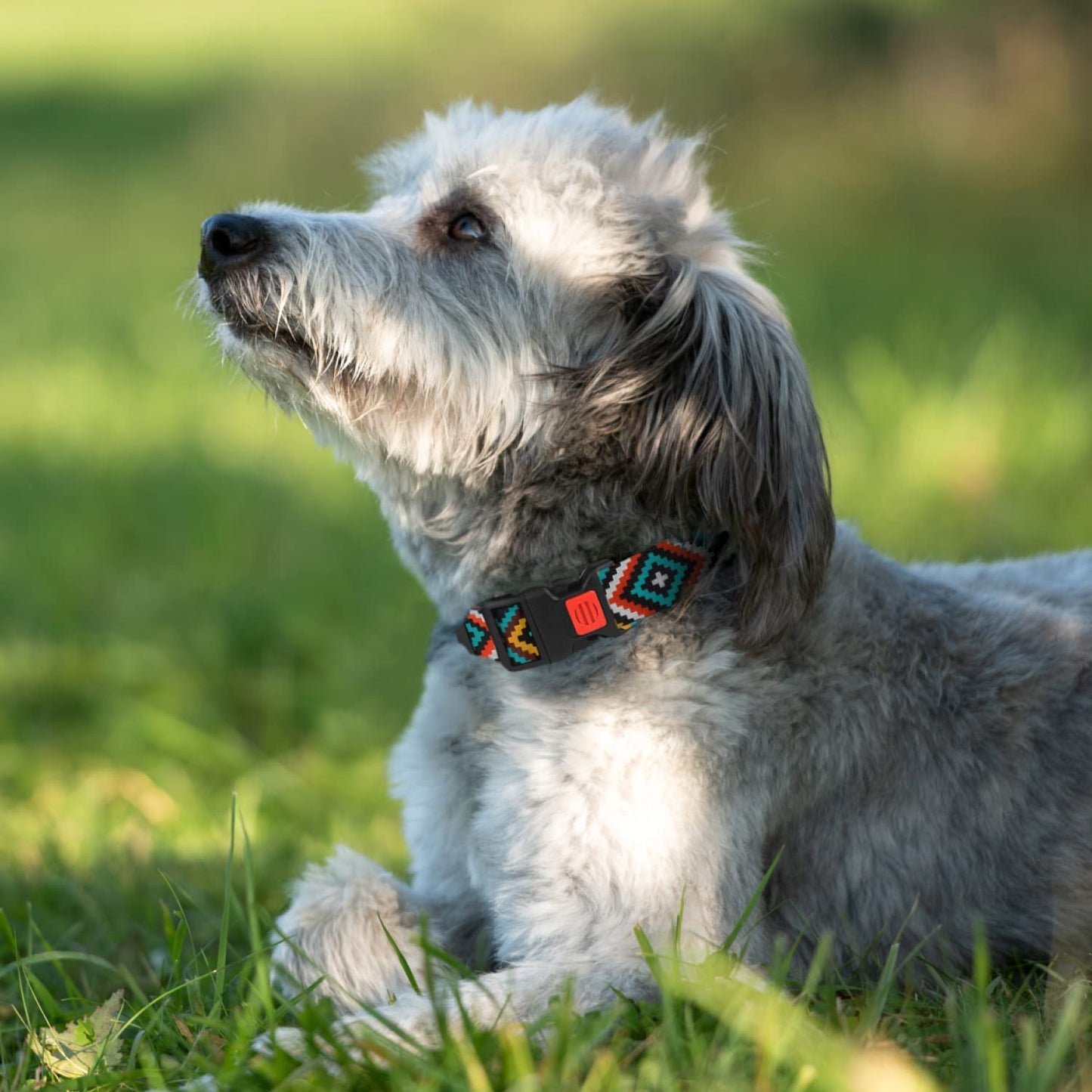 tribal dog collars-tribal dog collar-collar azteca-pattern dog collars-pattern for dog collars