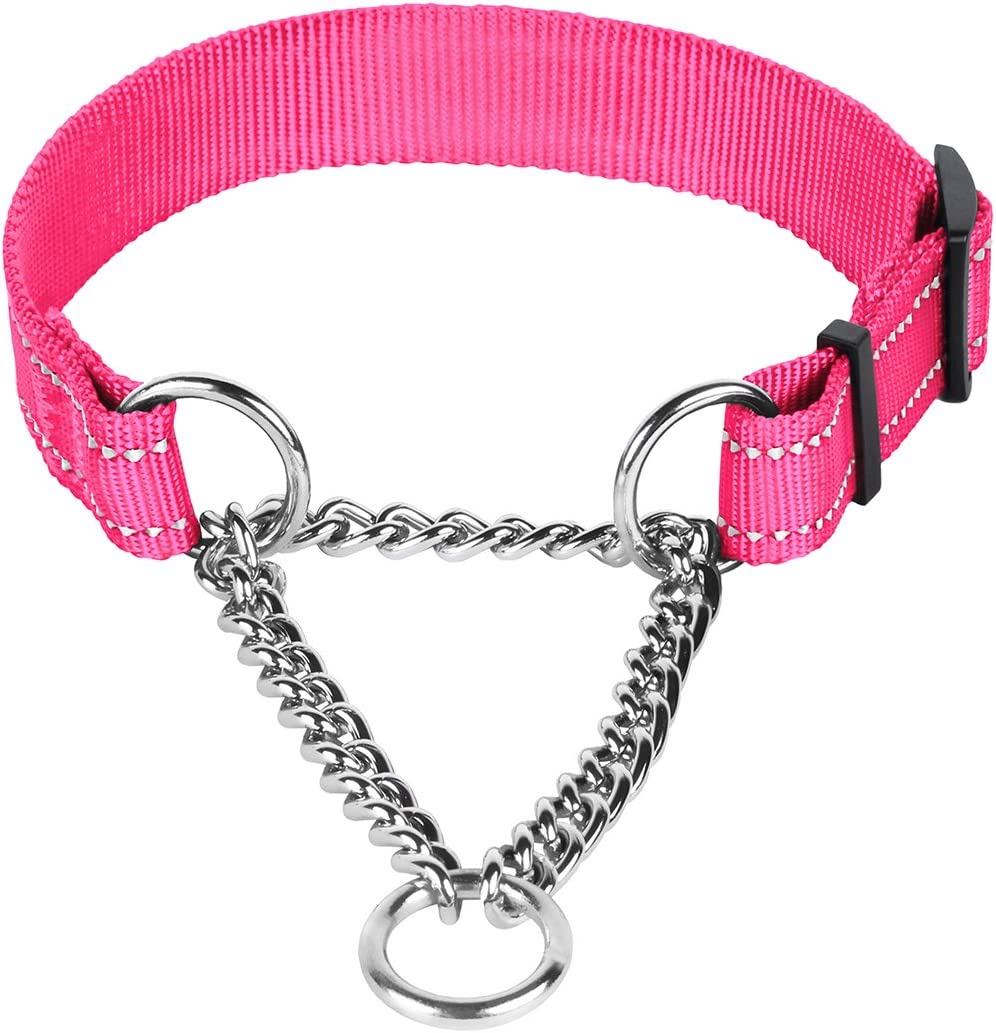 Reflective Martingale Dog Collar Chain – CollarDirect