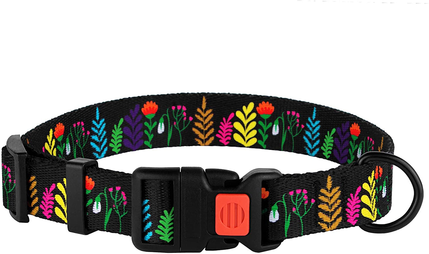 nylon dog collar-nylon personalized dog collar-personalized nylon dog collar-nylon dog collar with buckle-nylon choke dog collar-rolled nylon dog collar