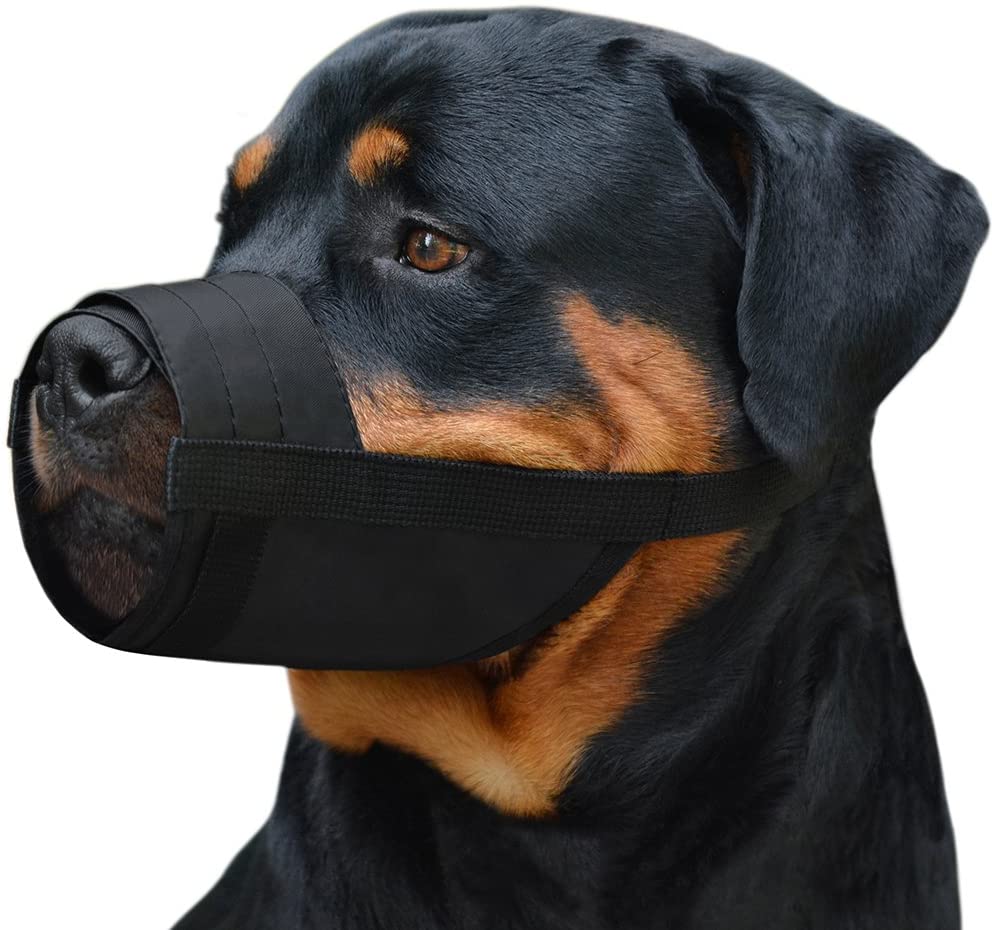 Adjustable Soft Breathable Nylon Dog Muzzle 2-PCs – CollarDirect