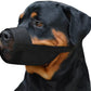 adjustable dog muzzle-velcro dog muzzle-no bark muzzle for small dogs