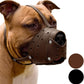 Muselière en cuir pour berger allemand, Staffordshire Terrier, Pitbull, races moyennes et grandes