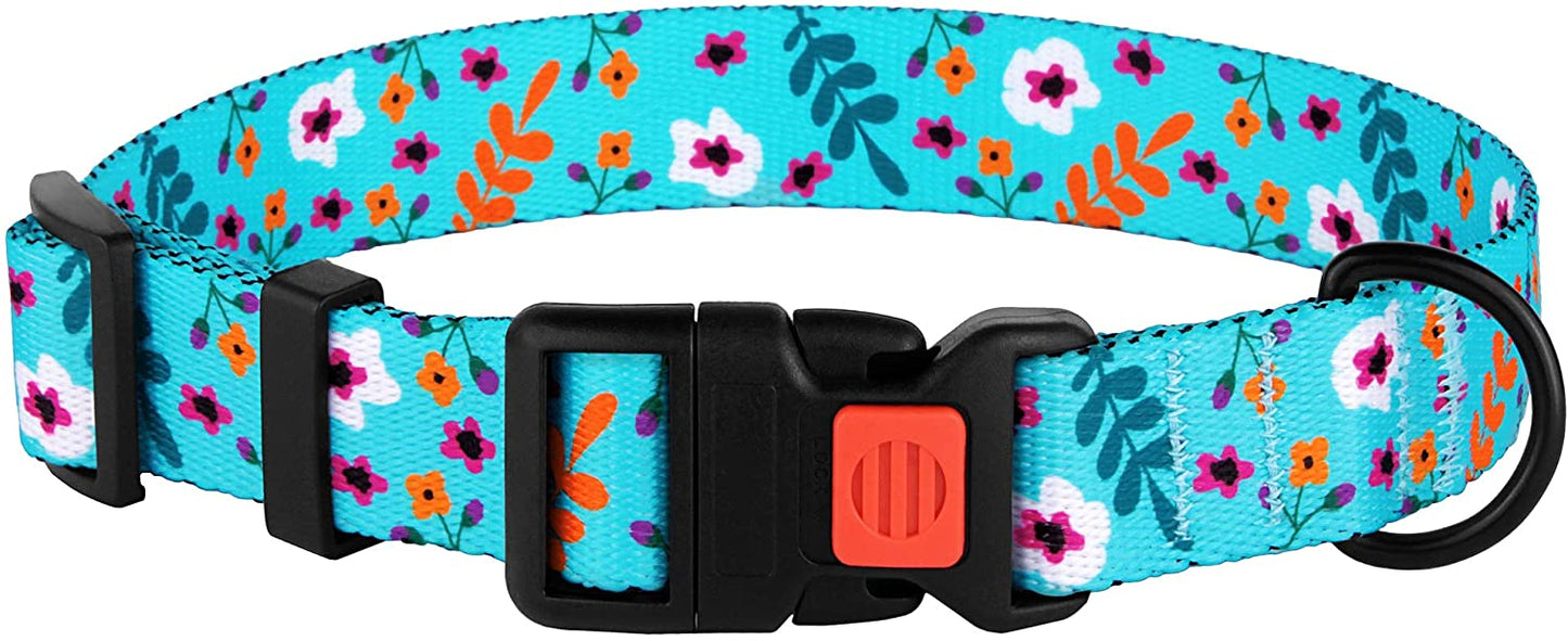 nylon dog collar-nylon personalized dog collar-personalized nylon dog collar-nylon dog collar with buckle-nylon choke dog collar-rolled nylon dog collar