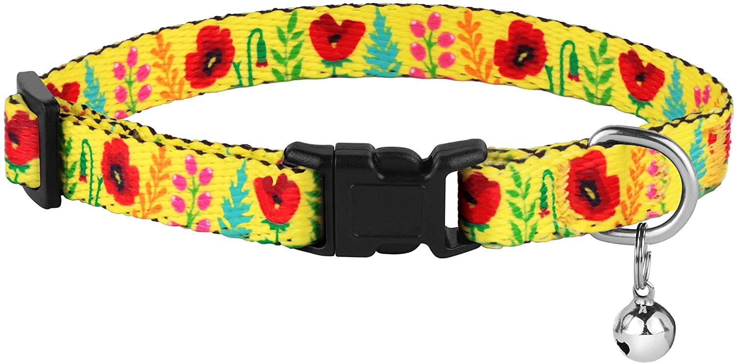 Cat collar outlet with flower