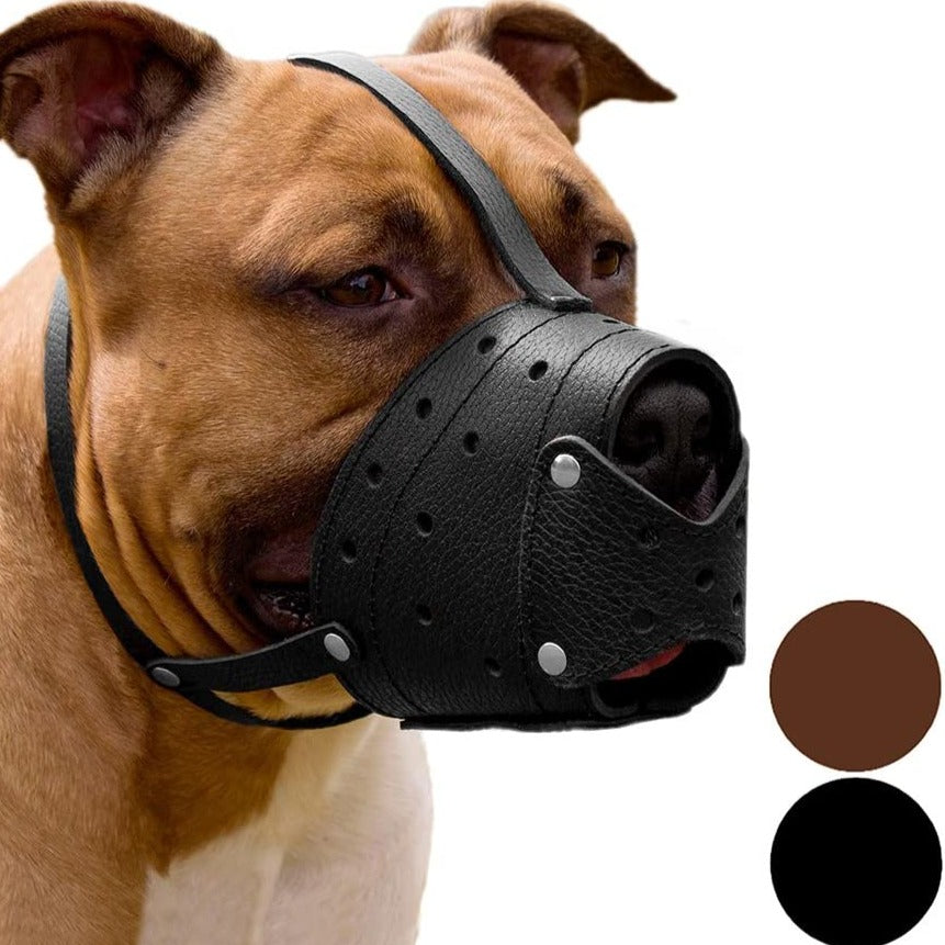Muselière en cuir pour berger allemand, Staffordshire Terrier, Pitbull, races moyennes et grandes