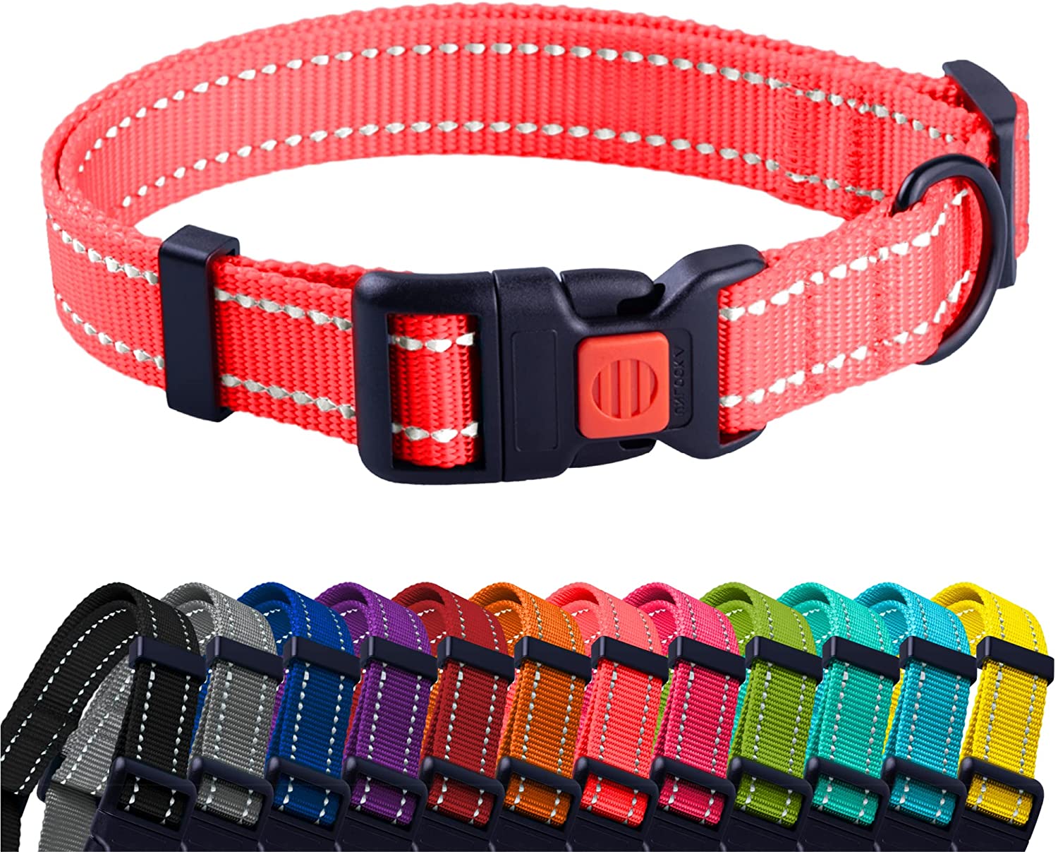 Rolled nylon clearance dog collar