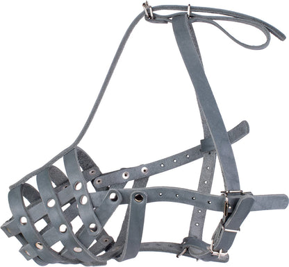 german shepherd dalmation Dog Muzzle-dalmatian doberman Dog Muzzle-doberman dalmatian Dog Muzzle-german shepherd and dalmatian Dog Muzzle