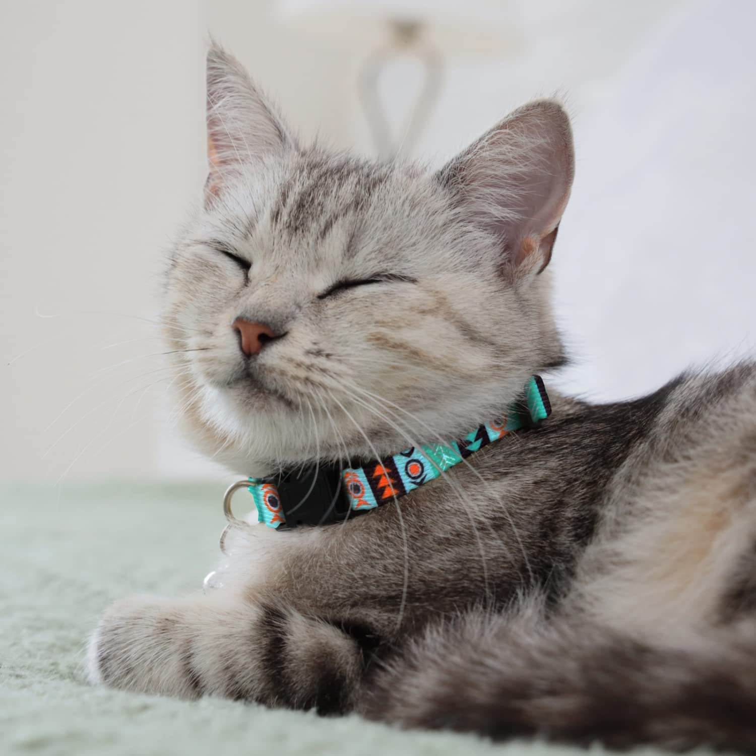 Novelty 2025 cat collars