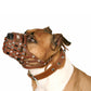 Leder Hund Staffordshire Terrier Pitbull Maulkorb